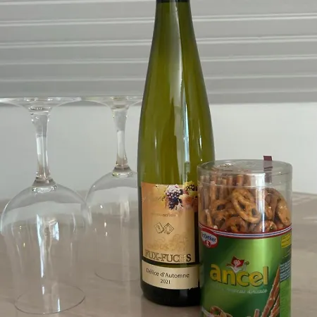 Le Nid De Maria Hilsenheim