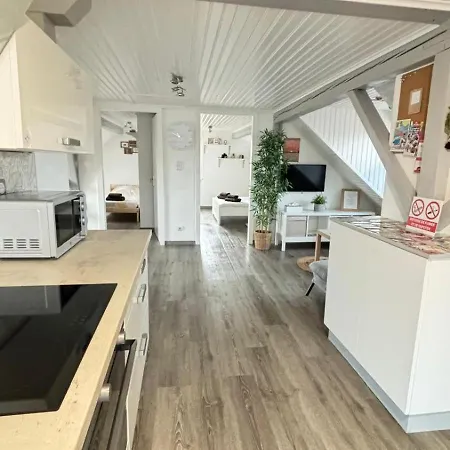 Apartment Le Nid De Maria Hilsenheim