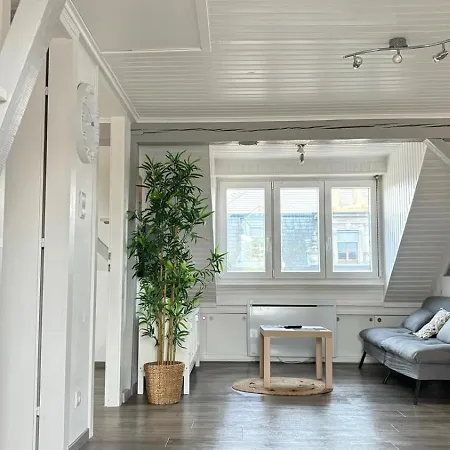 Le Nid De Maria Hilsenheim