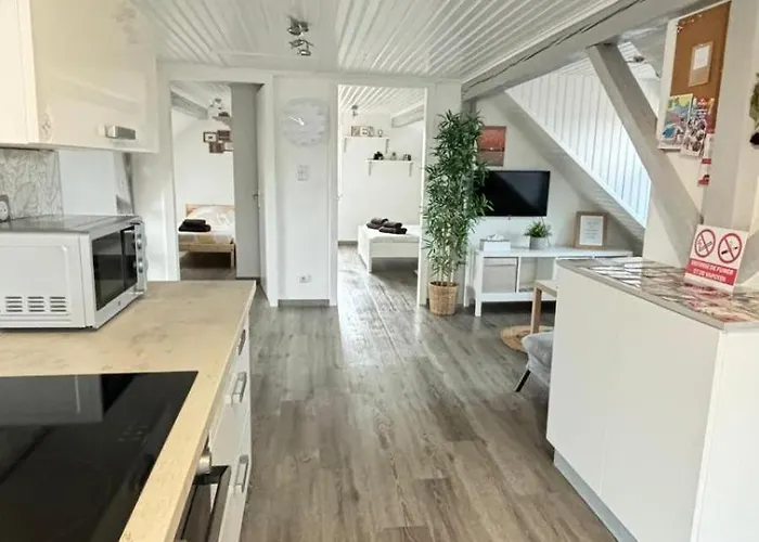 Apartament Le Nid De Maria Hilsenheim